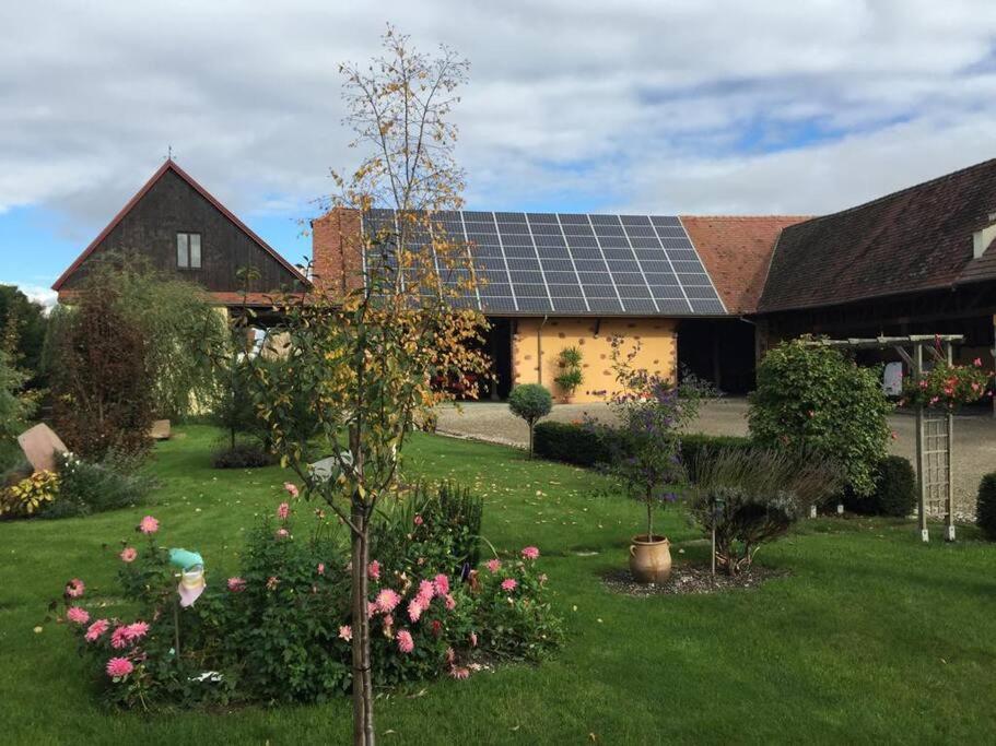Gite La Maison De Jules Muntzenheim Kültér fotó