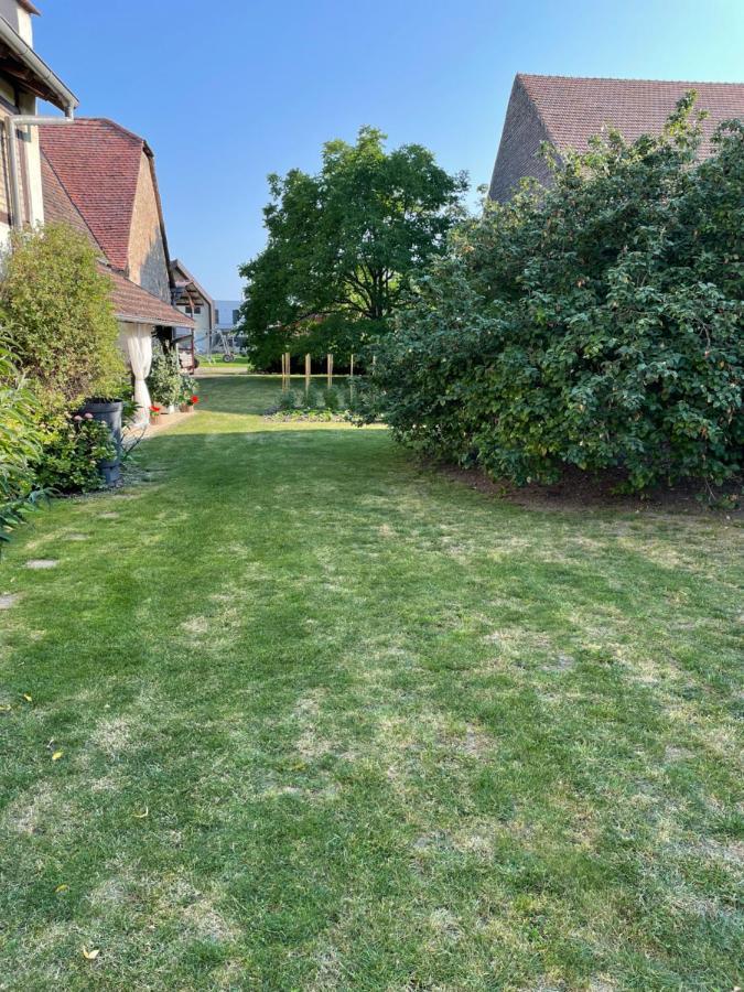 Gite La Maison De Jules Muntzenheim Kültér fotó